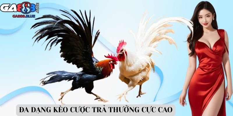 Đa dạng kèo cược trả thưởng cực cao