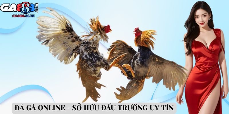 Đá gà online - Sở hữu đấu trường uy tín