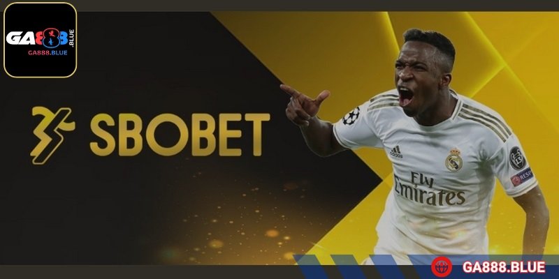 Điểm đến đặc sắc với nhiều lựa chọn đặt kèo