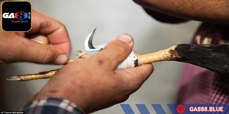 Cần kiểm tra lại độ chặt của băng, dùng tay lắc nhẹ