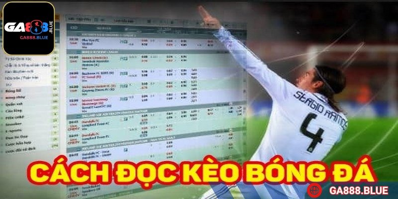 Cách đọc kèo bóng đá chi tiết giúp bet thủ nắm chắc tỷ lệ thắng lợi