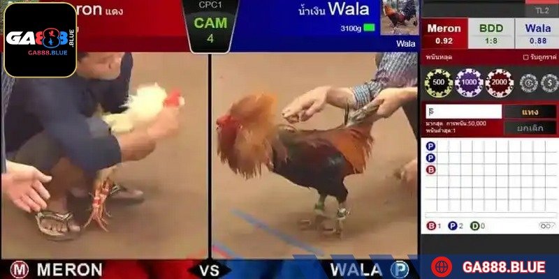 Nên tham khảo thông tin hỗ trợ để chọn kèo chuẩn