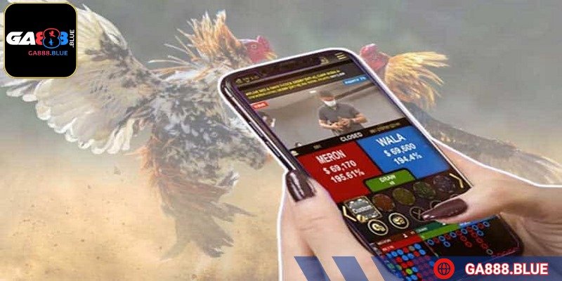 Phải hiểu rõ về kèo đấu trước khi chốt