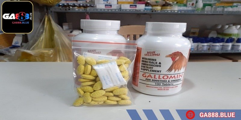 Sử dụng thuốc cựa gà đá đúng cách giúp gà đạt trạng thái sung mãn